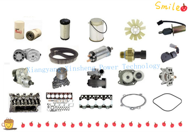6C 8.3 Cummins Engine 부속, 디젤 엔진 성분 실린더 강선 C3948095